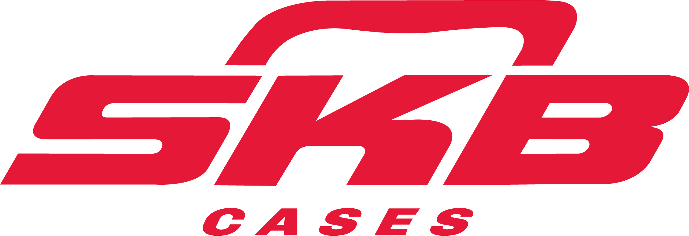 SB-cases